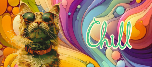 Cool Cat Chill